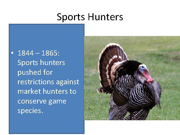 Sports Hunters • 1844 – 1865: Sports hunters pushed for restrictions against market hunters