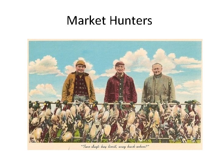 Market Hunters 