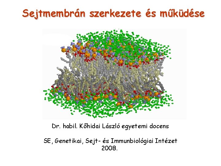 Sejtmembrán szerkezete és műküdése Dr. habil. Kőhidai László egyetemi docens SE, Genetikai, Sejt- és