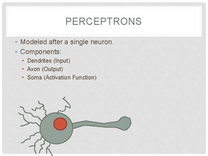 PERCEPTRONS • Modeled after a single neuron. • Components: • Dendrites (Input) • Axon