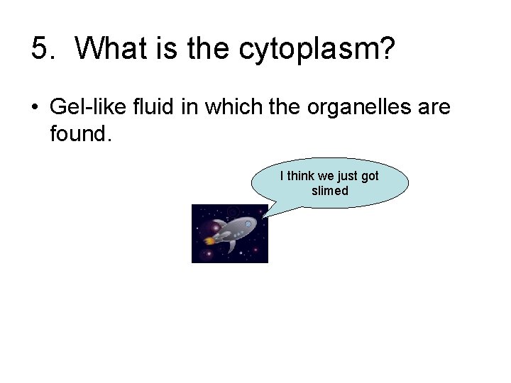 5. What is the cytoplasm? • Gel-like fluid in which the organelles are found.
