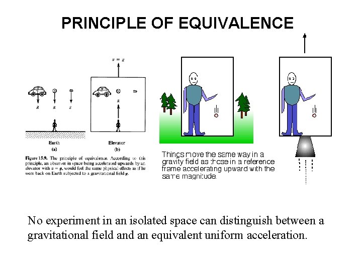 PRINCIPLE OF EQUIVALENCE No experiment in an isolated space can distinguish between a gravitational