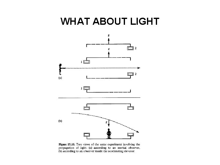 WHAT ABOUT LIGHT 