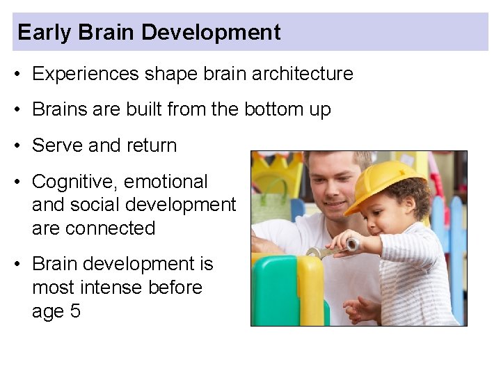Early Brain Development • Experiences shape brain architecture • Brains are built from the