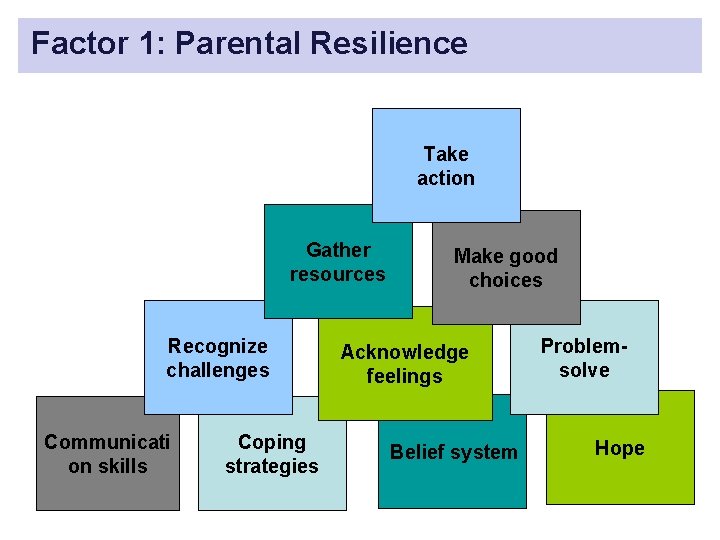 Factor 1: Parental Resilience Take action Gather resources Recognize challenges Communicati on skills Coping