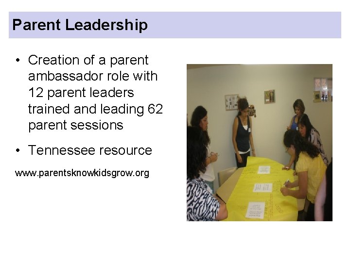 Parent Leadership • Creation of a parent ambassador role with 12 parent leaders trained