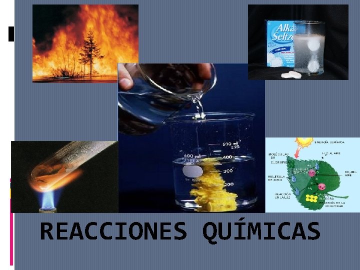 REACCIONES QUÍMICAS 