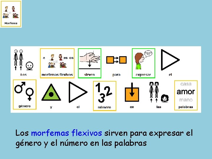 Los morfemas flexivos sirven para expresar el género y el número en las palabras