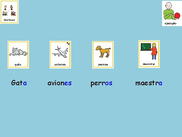 Gata aviones perros maestra 