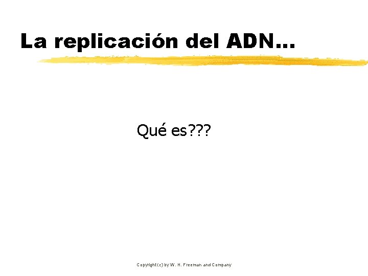 La replicación del ADN… Qué es? ? ? Copyright (c) by W. H. Freeman