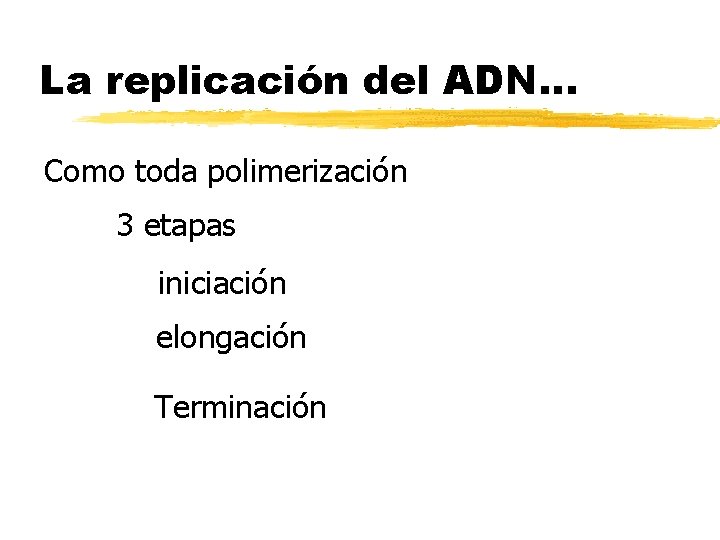 La replicación del ADN… Como toda polimerización 3 etapas iniciación elongación Terminación 