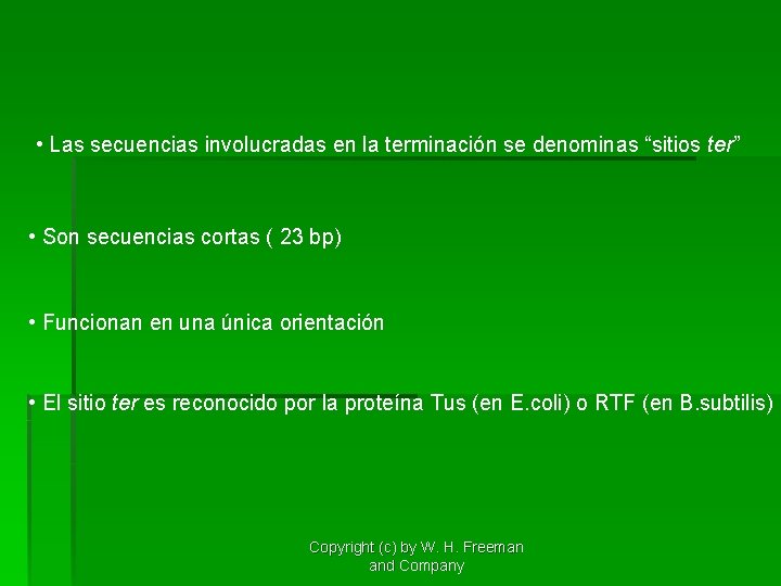  • Las secuencias involucradas en la terminación se denominas “sitios ter” • Son