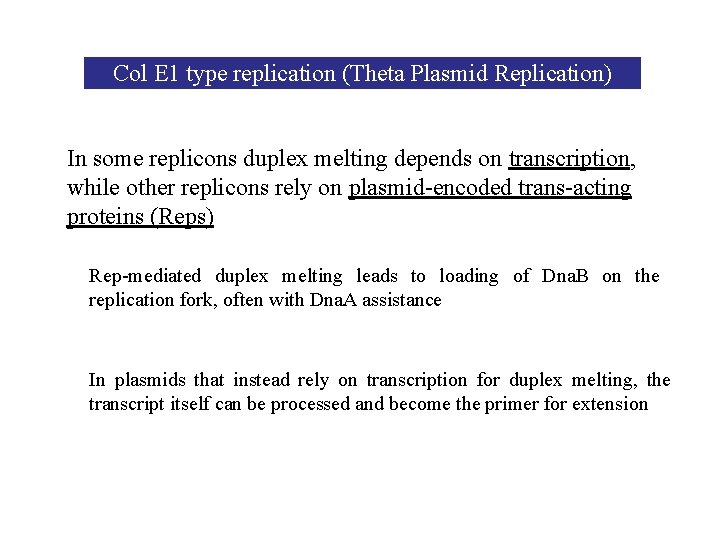 Col E 1 type replication (Theta Plasmid Replication) In some replicons duplex melting depends