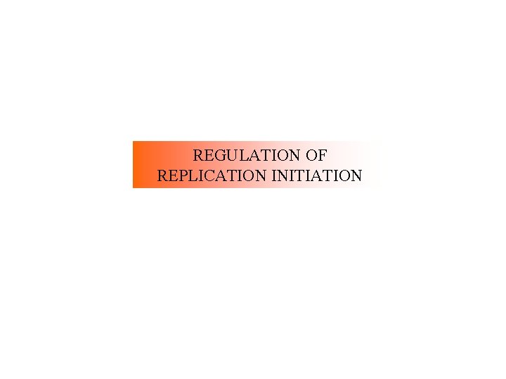 REGULATION OF REPLICATION INITIATION 