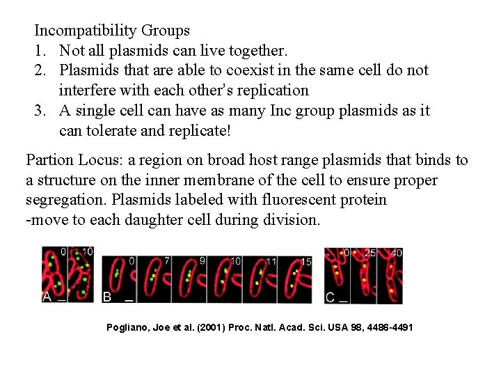 Incompatibility Groups 1. Not all plasmids can live together. 2. Plasmids that are able