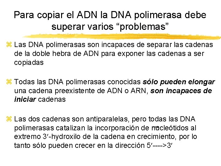 Para copiar el ADN la DNA polimerasa debe superar varios “problemas” z Las DNA