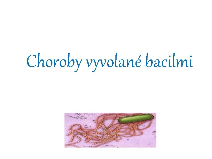 Choroby vyvolané bacilmi 