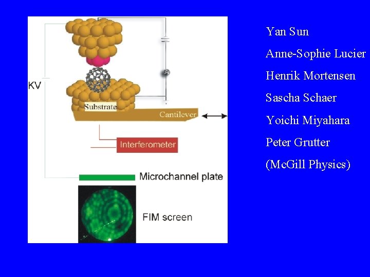 Yan Sun Anne-Sophie Lucier Henrik Mortensen Sascha Schaer Yoichi Miyahara Peter Grutter (Mc. Gill