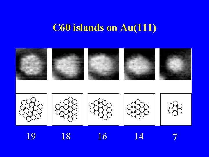 C 60 islands on Au(111) 19 18 16 14 7 