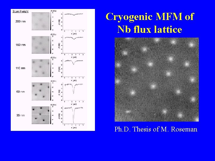 Cryogenic MFM of Nb flux lattice Ph. D. Thesis of M. Roseman 