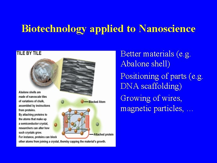 Biotechnology applied to Nanoscience • Better materials (e. g. Abalone shell) • Positioning of