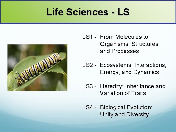 Life Sciences - LS LS 1 - From Molecules to Organisms: Structures and Processes