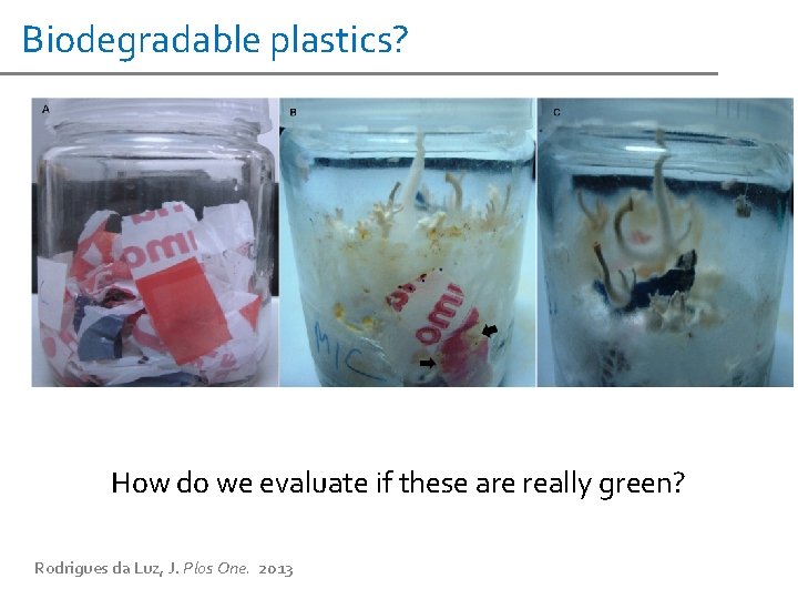 Biodegradable plastics? How do we evaluate if these are really green? Rodrigues da Luz,