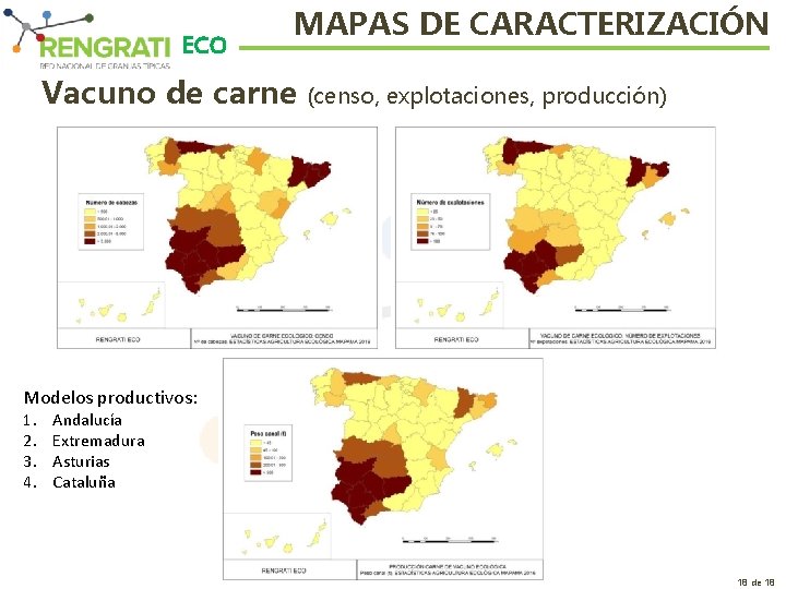 ECO MAPAS DE CARACTERIZACIÓN Vacuno de carne (censo, explotaciones, producción) Modelos productivos: 1. 2.