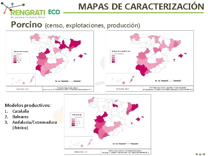 ECO Porcino MAPAS DE CARACTERIZACIÓN (censo, explotaciones, producción) Modelos productivos: 1. Cataluña 2. Baleares