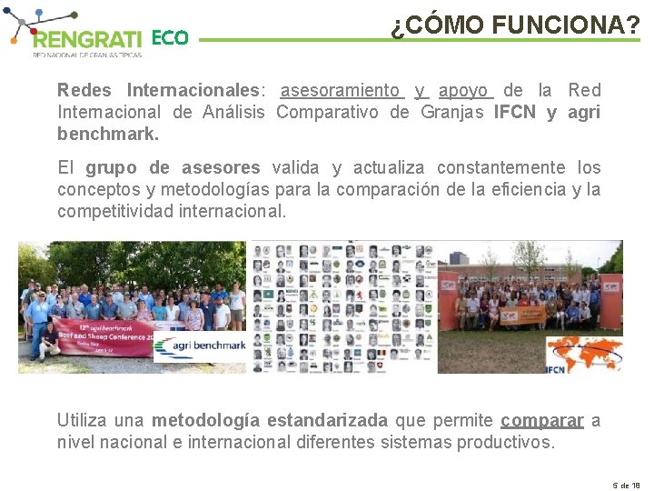 ECO ¿CÓMO FUNCIONA? Redes Internacionales: asesoramiento y apoyo de la Red Internacional de Análisis