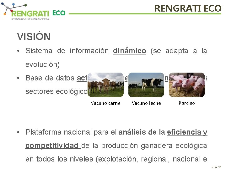 RENGRATI ECO VISIÓN • Sistema de información dinámico (se adapta a la evolución) •