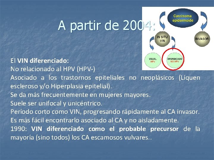 A partir de 2004: El VIN diferenciado: No relacionado al HPV (HPV-) Asociado a