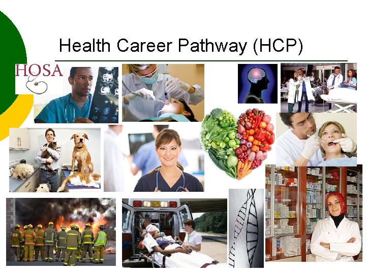 Health Career Pathway (HCP) 