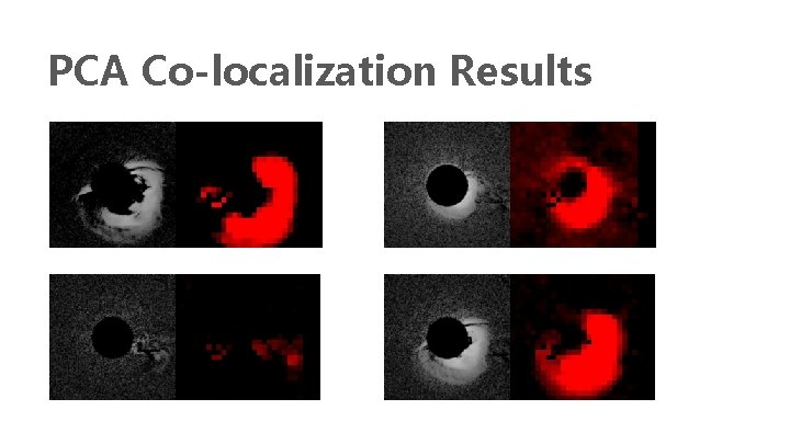 PCA Co-localization Results 