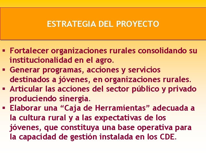 ESTRATEGIA DEL PROYECTO § Fortalecer organizaciones rurales consolidando su institucionalidad en el agro. §
