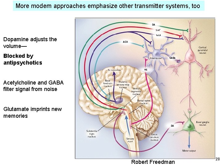 More modern approaches emphasize other transmitter systems, too Dopamine adjusts the volume— Blocked by