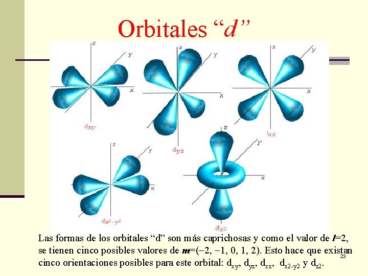 Orbitales “d” Las formas de los orbitales “d” son más caprichosas y como el