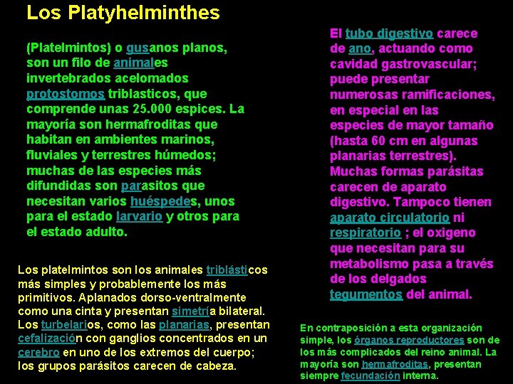 Los Platyhelminthes (Platelmintos) o gusanos planos, son un filo de animales invertebrados acelomados protostomos