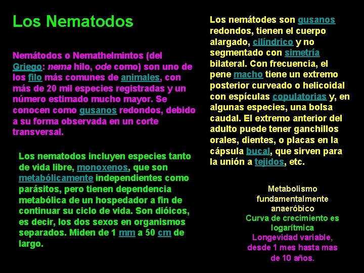 Los Nematodos Nemátodos o Nemathelmintos (del Griego: nema hilo, ode como) son uno de