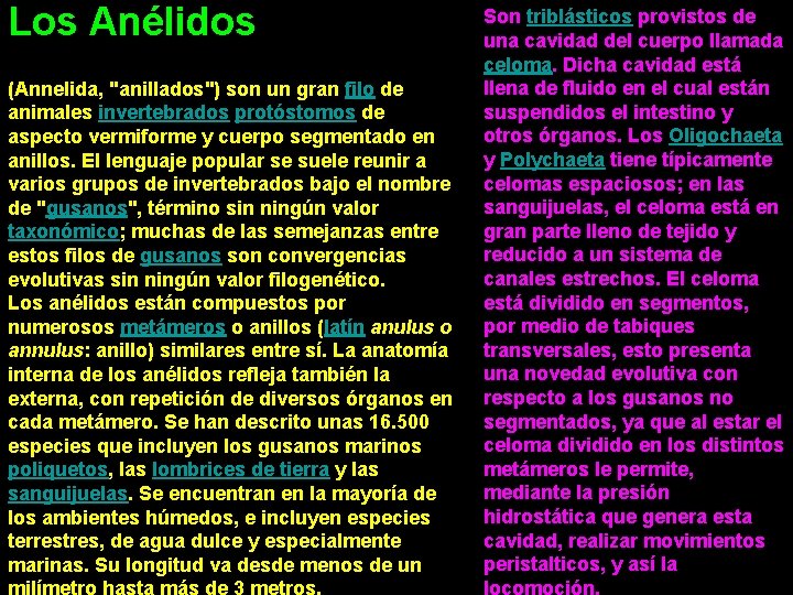 Los Anélidos (Annelida, "anillados") son un gran filo de animales invertebrados protóstomos de aspecto