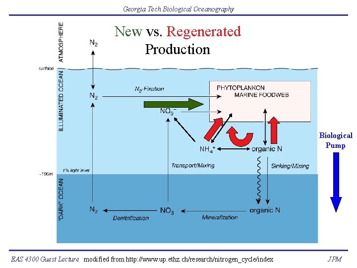 Georgia Tech Biological Oceanography New vs. Regenerated Production NH 4+ EAS 4300 Guest Lecture
