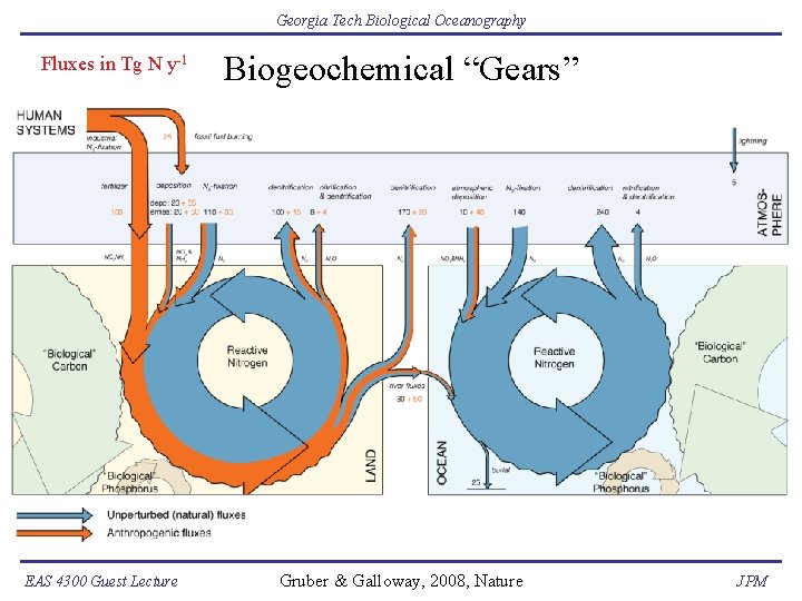 Georgia Tech Biological Oceanography Fluxes in Tg N y-1 EAS 4300 Guest Lecture Biogeochemical