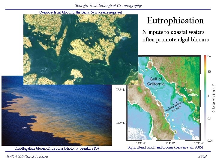 Georgia Tech Biological Oceanography Cyanobacterial bloom in the Baltic (www. eea. europa. eu) Eutrophication