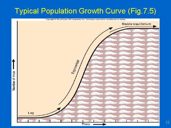 Typical Population Growth Curve (Fig. 7. 5) 12 