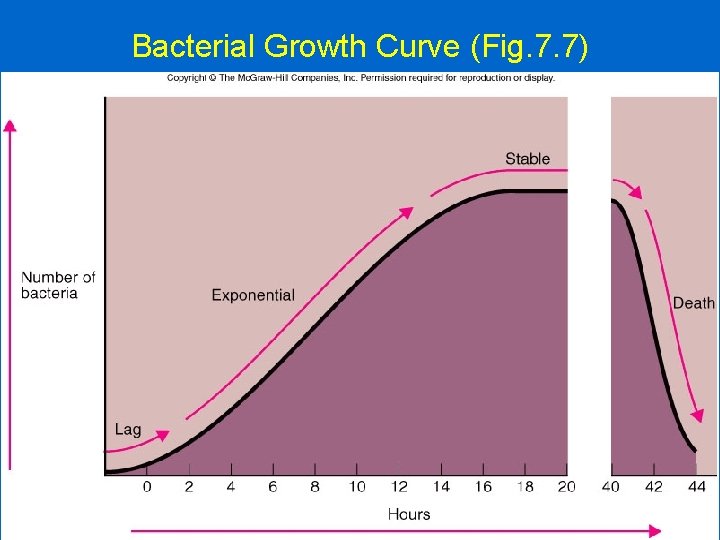 Bacterial Growth Curve (Fig. 7. 7) 16 