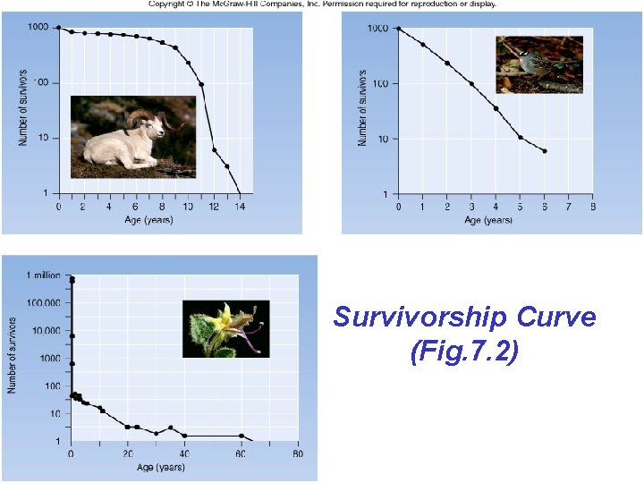 Survivorship Curve (Fig. 7. 2) 5 