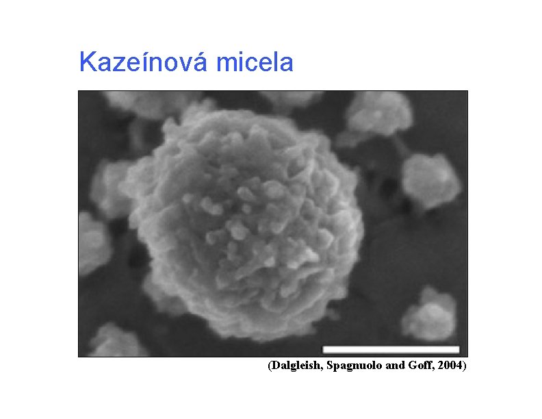 Kazeínová micela (Dalgleish, Spagnuolo and Goff, 2004) Kazeínová micela (Dalgleish, Spagnuolo and Goff, 2004)
