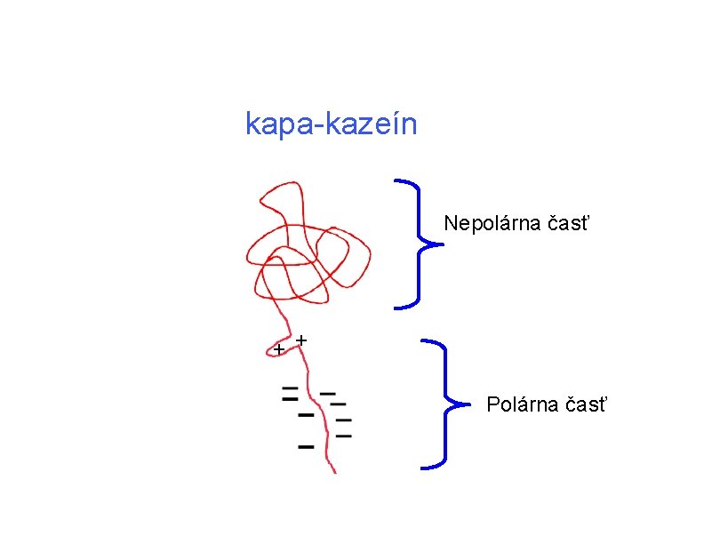 kapa-kazeín Nepolárna časť + + Polárna časť kapa-kazeín Nepolárna časť + + Polárna časť