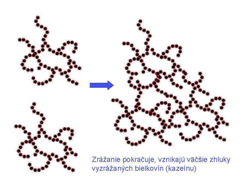 Zrážanie pokračuje, vznikajú väčšie zhluky vyzrážaných bielkovín (kazeínu) Zrážanie pokračuje, vznikajú väčšie zhluky vyzrážaných bielkovín (kazeínu)