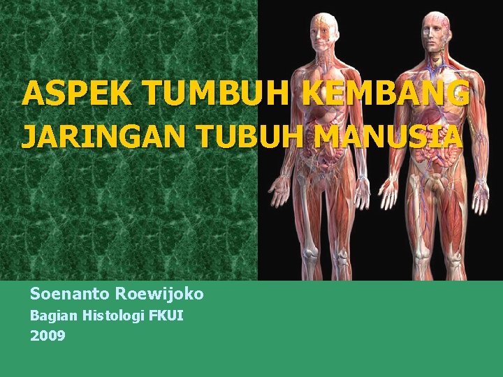 ASPEK TUMBUH KEMBANG JARINGAN TUBUH MANUSIA Soenanto Roewijoko Bagian Histologi FKUI 2009 